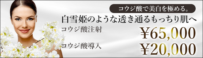 コウジ酸注射 65,000 / コウジ酸導入 20,000